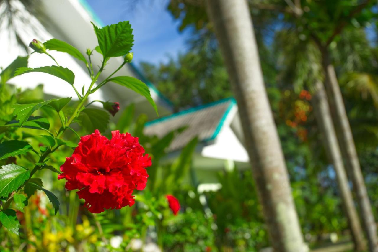Sea View Resort Koh Mak Zewnętrze zdjęcie